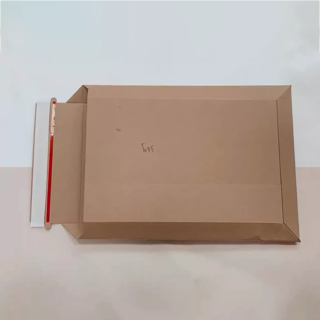 TPB Tear Strip Envelopes